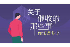 分宜要账公司